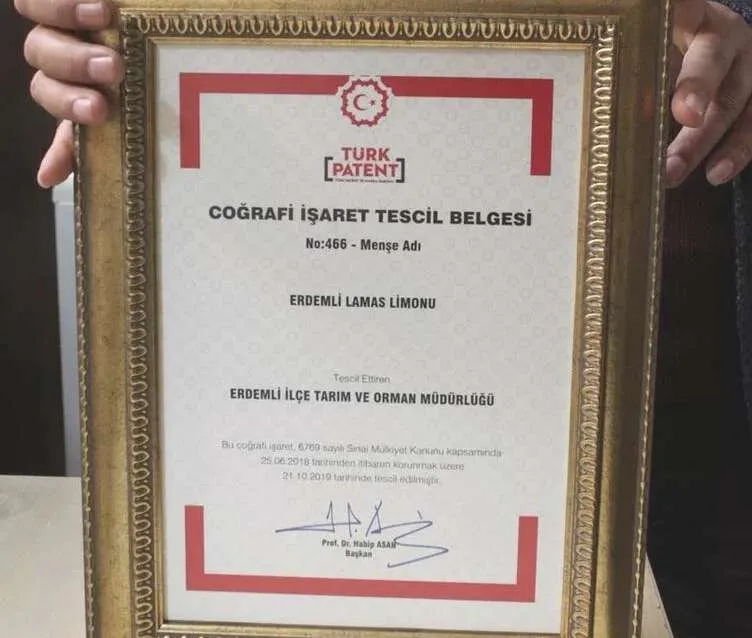 Lemas Limon için Coğrafi İşaret Tescili, fotoğraf 1