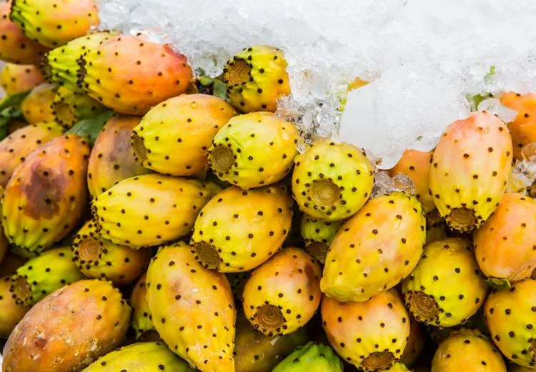 Prickly pear fruit displayed on ice