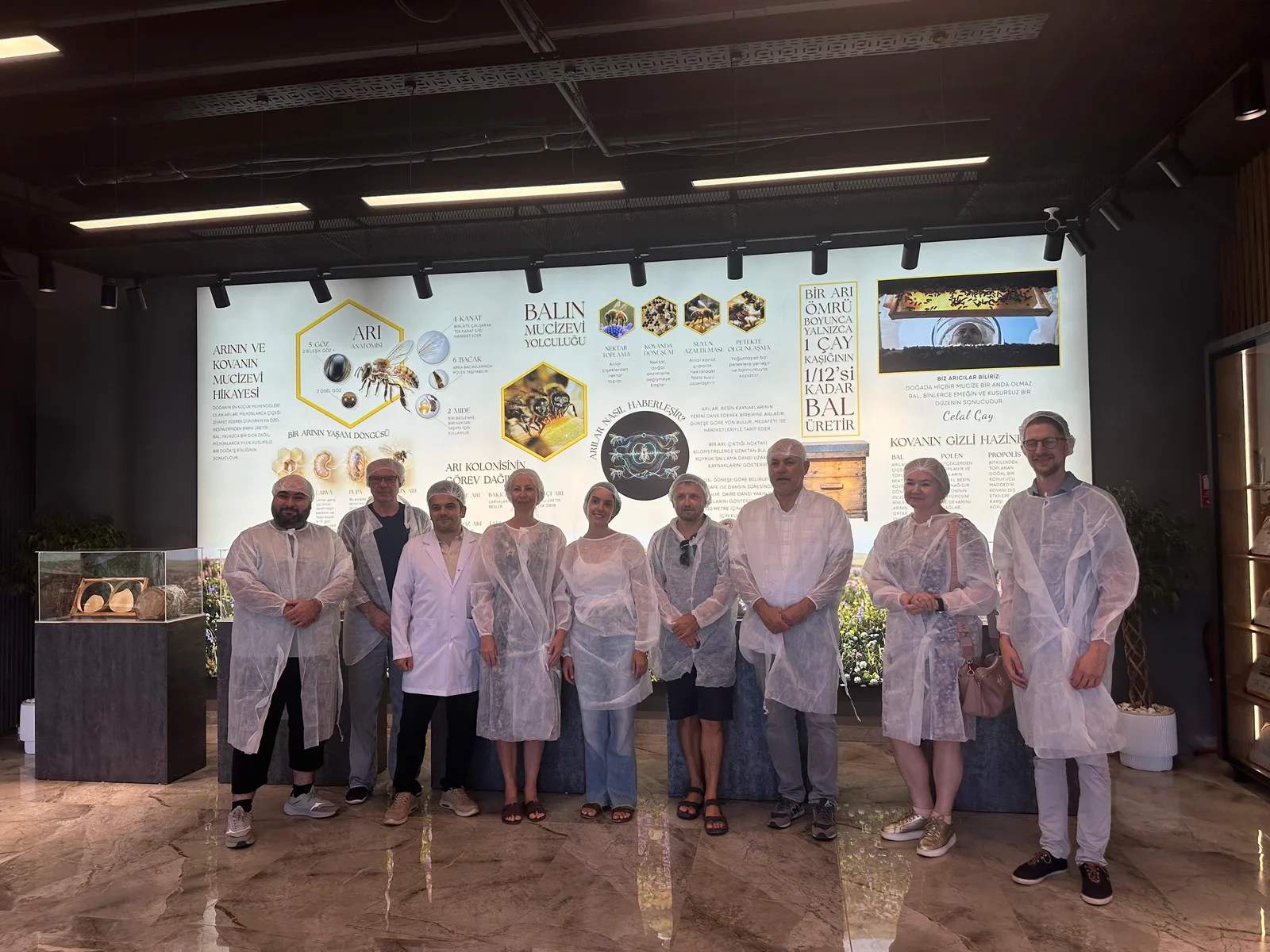 The BeeBridge visiting group wearing protective gowns and hair coverings in front of a display about bees and honey production at Eğriçayır