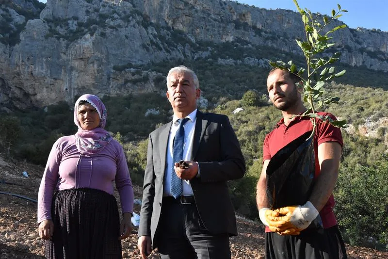 Erdemli'deki keçiboynuzu projesinin 2021 yılı arazi çalışmasında, bir fidanın yanında duran üç kişi