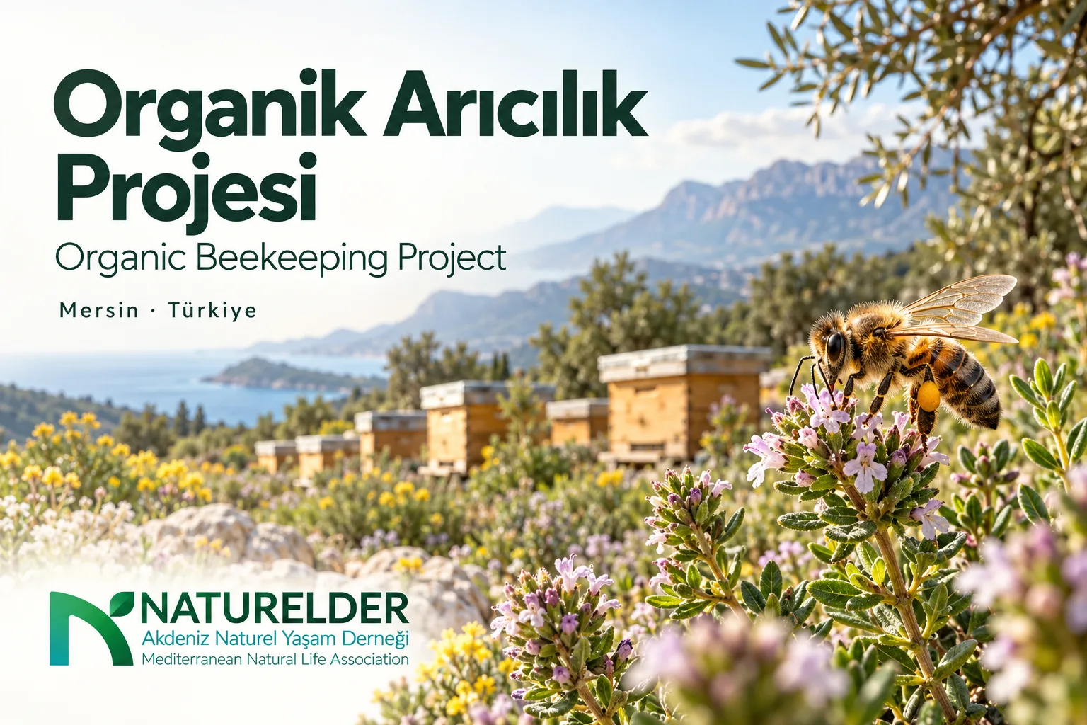 Organic Beekeeping Project, photo 1