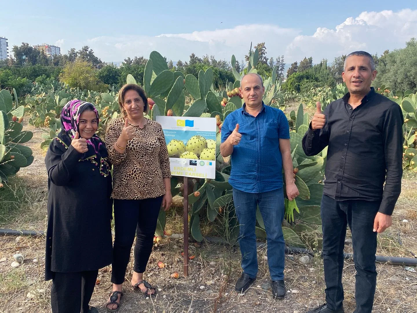 Visitors standing beside prickly pear plants at the trial plot