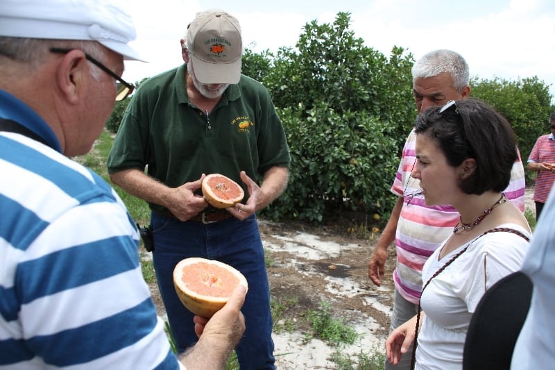 Citrus Farmers Training Program