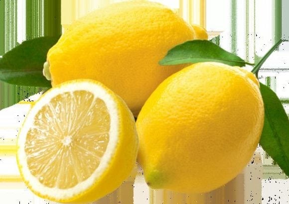 Lemon Lemas the Registration of Geographical Indication Received